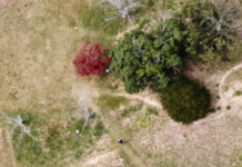 東京大学 文学部人文学科 考古学専修