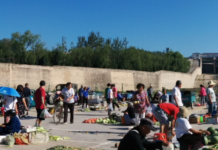 東京大学 教養学科総合社会科学分科 相関社会科学コース